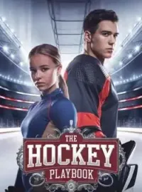 THE HOCKEY PLAYBOOK  Novel Cover