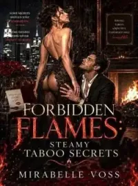 FORBIDDEN FLAMES: STEAMY TABOO SECRETS  Novel Cover