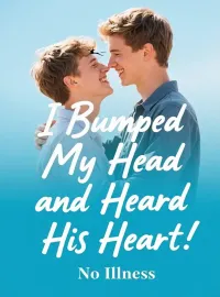 I Bumped My Head and Heard His Heart Novel Cover