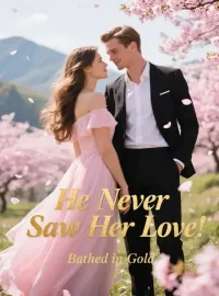 He Never Saw Her Love Novel Cover