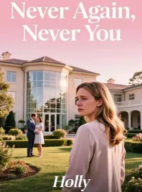 Never Again, Never You Novel Cover