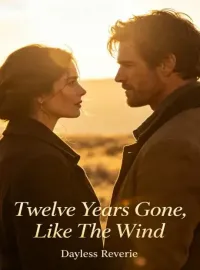 Twelve Years Gone, Like The Wind Novel Cover