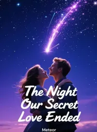 The Night Our Secret Love Ended Novel Cover