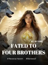 Fated to Four Brothers  Novel Cover