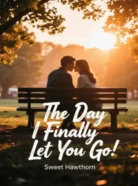 The Day I Finally Let You Go Novel Cover