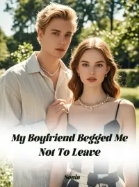 My Boyfriend Begged Me Not To Leave Novel Cover