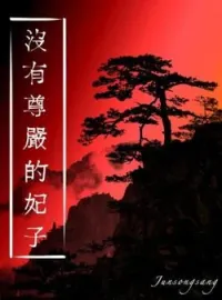 ภาพปกนิยาย สนมใบ้ ไร้ศักดิ์