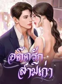 ภาพปกนิยาย อดีตรัก สามีเก่า