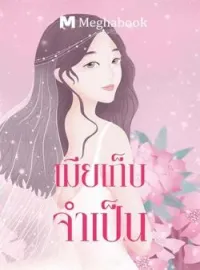 ภาพปกนิยาย เมียเก็บจำเป็น