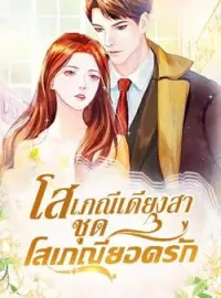 ภาพปกนิยาย โสเภณีเดียงสา ชุด โสเภณียอดรัก