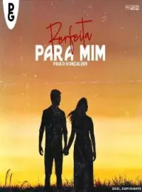 Capa do Romance Perfeita Para Mim