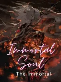 Sampul Novel Immortal Soul 