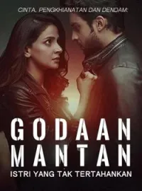 Sampul Novel Cinta, Pengkhianatan dan Dendam: Godaan Mantan Istri yang Tak Tertahankan