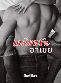 ภาพปกนิยาย เหลี่ยมรักอาเขย