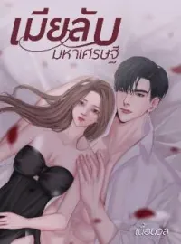 ภาพปกนิยาย เมียลับมหาเศรษฐี