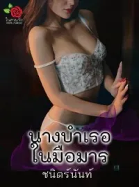 ภาพปกนิยาย นางบำเรอในมือมาร