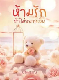 ภาพปกนิยาย ห้ามรักถ้าไม่อยากเจ็บ
