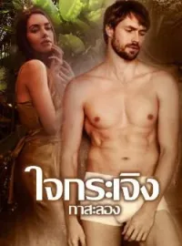 ภาพปกนิยาย ใจกระเจิง
