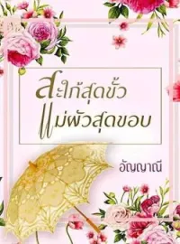 ภาพปกนิยาย สะใภ้สุดขั้ว แม่ผัวสุดขอบ