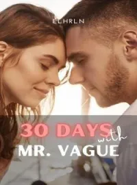 Sampul Novel 30 Days With Mr. Vague