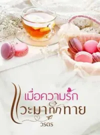 ภาพปกนิยาย เมื่อความรักแวะมาทักทาย