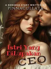 Sampul Novel Istri Yang Dilupakan CEO