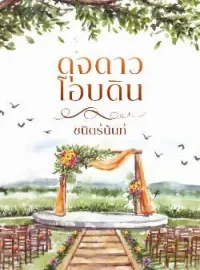 ภาพปกนิยาย ดุจดาวโอบดิน