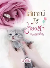ภาพปกนิยาย โสเภณีไร้เดียงสา