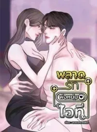 ภาพปกนิยาย พลาดรักพ่อหนุ่มไอที
