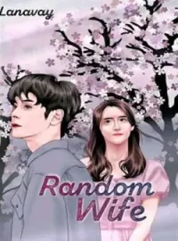 Sampul Novel Random Wife 