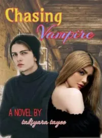 Sampul Novel Chasing Vampire