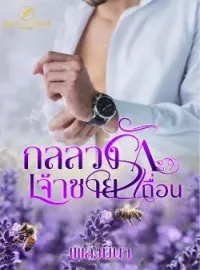 ภาพปกนิยาย กลลวงรักเจ้าชายเถื่อน