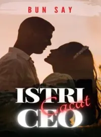 Sampul Novel Istri Cacat CEO
