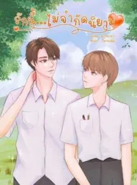 ภาพปกนิยาย รักนี้...ไม่จำกัดนิยาม
