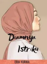 Sampul Novel Diamnya Istriku