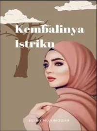 Sampul Novel Kembalinya Istriku