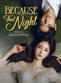 Sampul Novel Because That Night