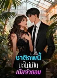 ภาพปกนิยาย ชาติภพนี้ขอไม่เป็นเมียจำยอม