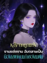 ภาพปกนิยาย หลังจากถูกแย่งงานแต่งงาน ฉันกลายเป็นน้องเขยคนเก่าของแฟน