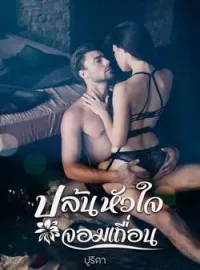 ภาพปกนิยาย ปล้นหัวใจจอมเถื่อน