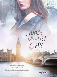 ภาพปกนิยาย มนตร์พิศวาสอสูร