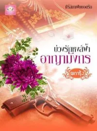 ภาพปกนิยาย บ่วงรักหงส์ฟ้า อาญามังกร