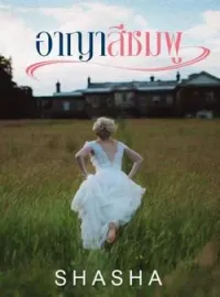 ภาพปกนิยาย อาญาสีชมพู