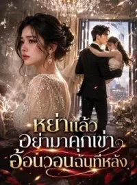 ภาพปกนิยาย หย่าแล้วอย่ามาคุกเข่าอ้อนวอนฉันทีหลัง
