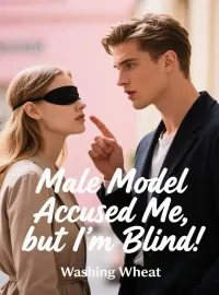 Male Model Accused Me, but I’m Blind Novel Cover