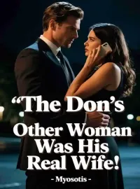 The Don’s Other Woman Was His Real Wife Novel Cover