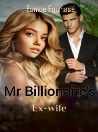 Mr Billionaire's Ex-wife Novel Cover