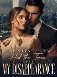 The Silent Storm Hid the Trace of My Disappearance Novel Cover