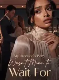 My Husband's Baby Wasn't Mine to Wait For Novel Cover