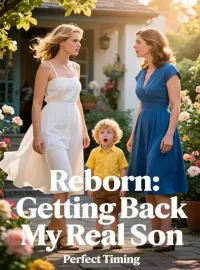 Reborn: Getting Back My Real Son Novel Cover